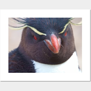 PENGUIN LOOKING AT YOU Posters and Art